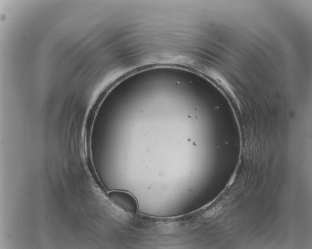 X0000064751080200602171727