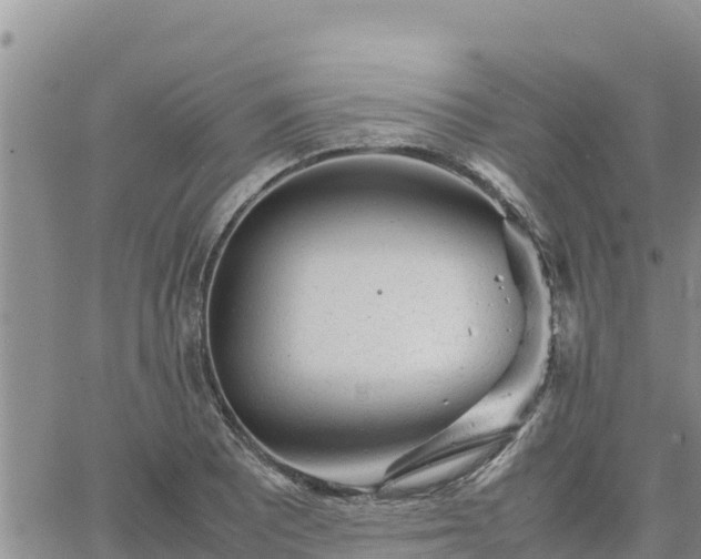 X0000064751081200602171727