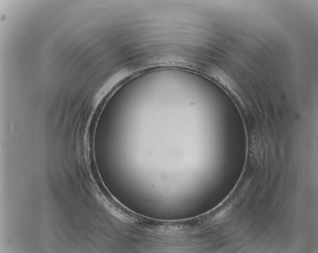 X0000064751082200602171727