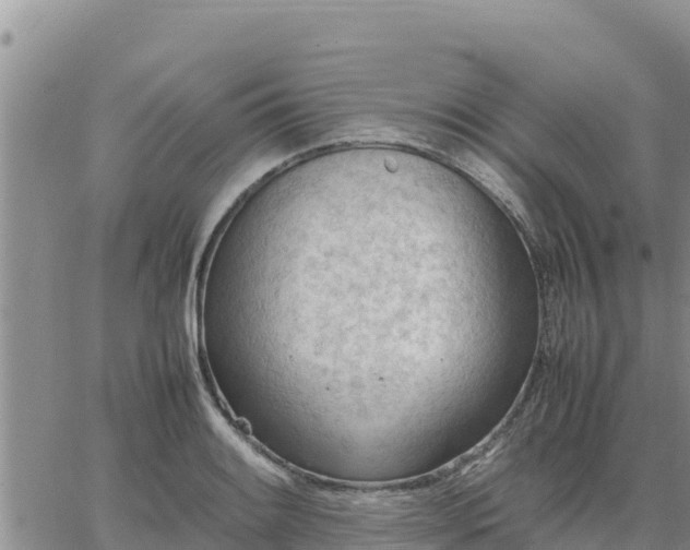 X0000064751084200602171727