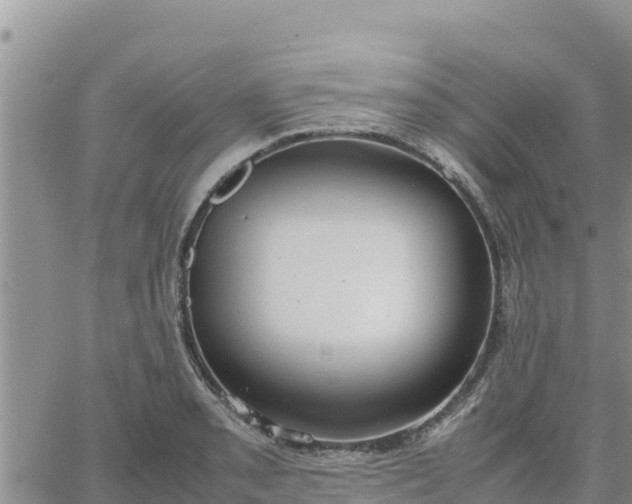 X0000064751085200602171727