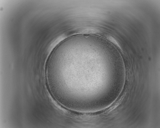 X0000064751087200602171727