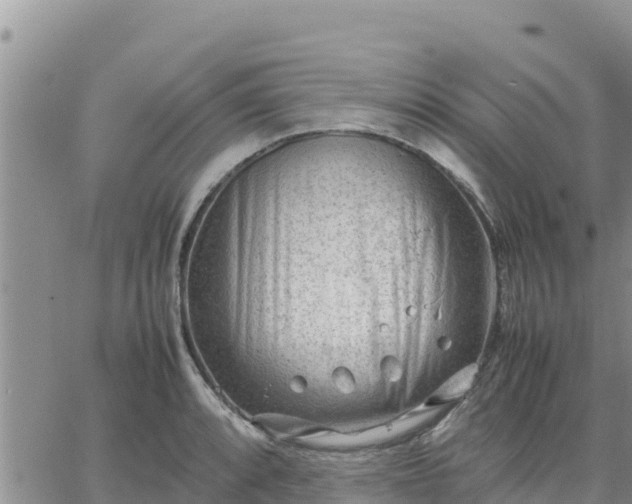 X0000064751088200602171727