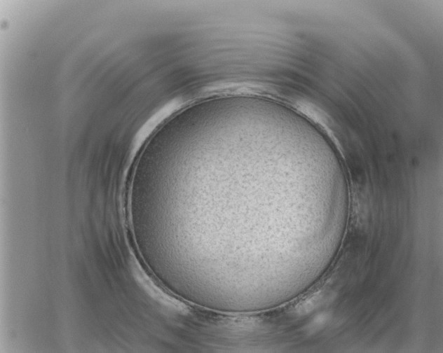 X0000064751090200602171727