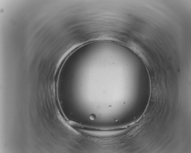 X0000064751092200602171727