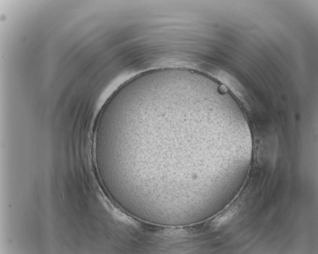 X0000064751094200602171727