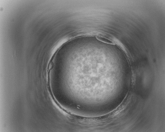 X0000064751095200602171727