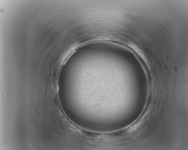 X0000064751097200602171727