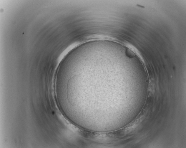 X0000064751098200602171727