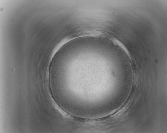 X0000064751099200602171727