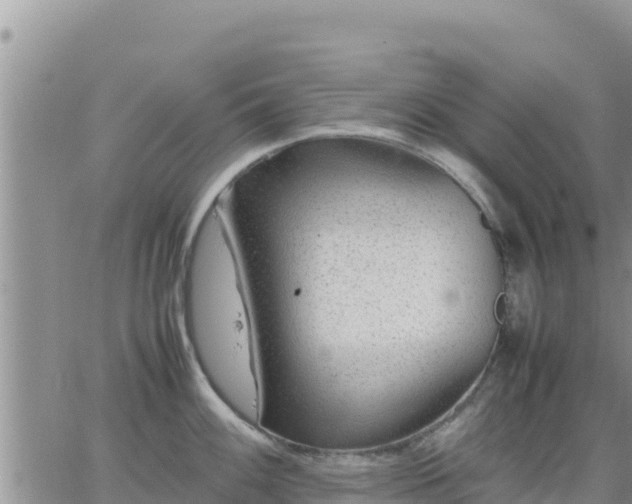 X0000064751100200602171727