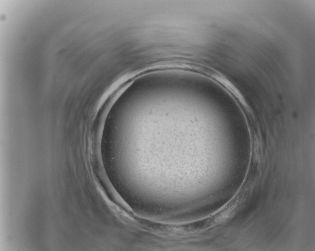 X0000064751101200602171727