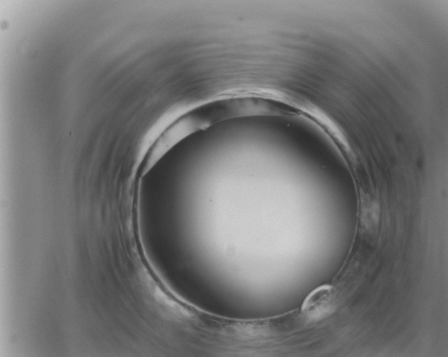 X0000064751102200602171727