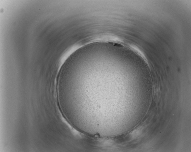 X0000064751103200602171726