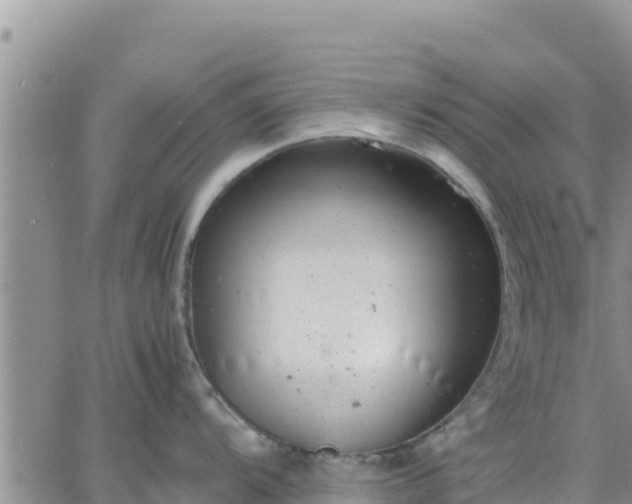 X0000064751104200602171726