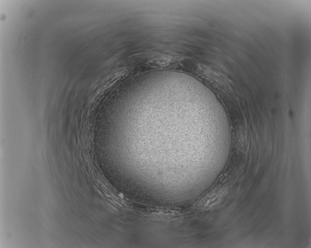 X0000064751105200602171726