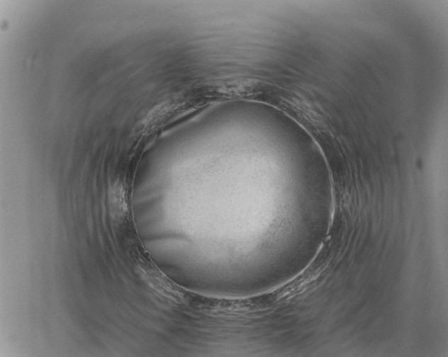 X0000064751106200602171726