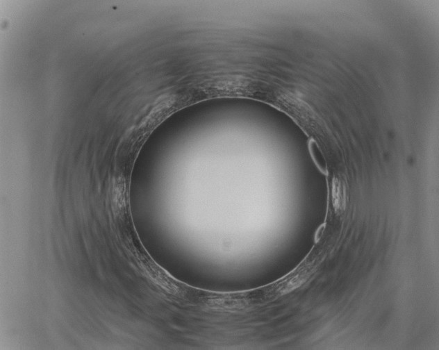 X0000064751107200602171726