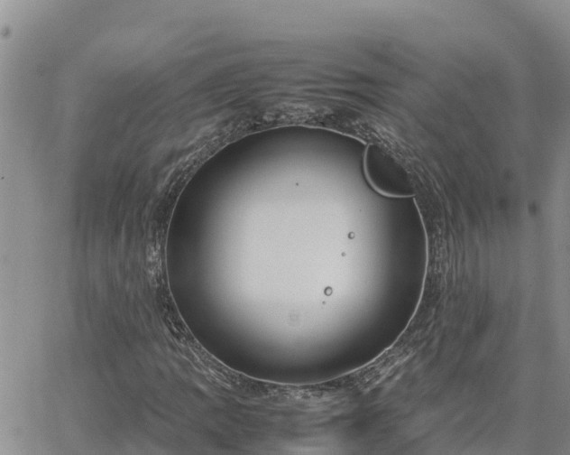 X0000064751109200602171726