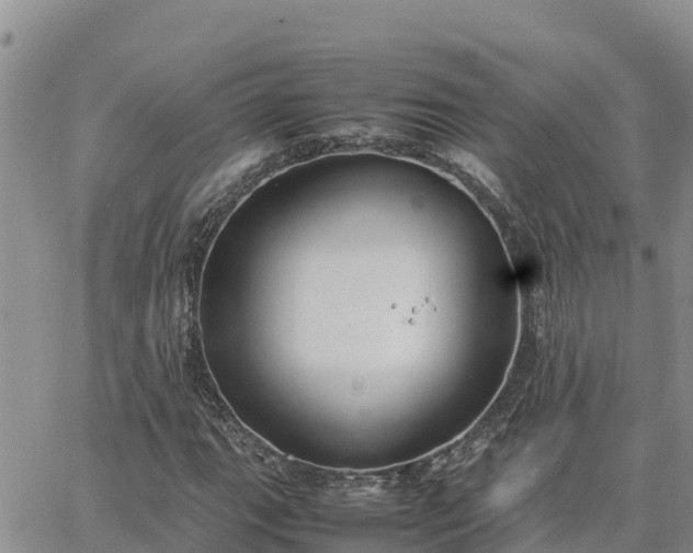 X0000064751111200602171726