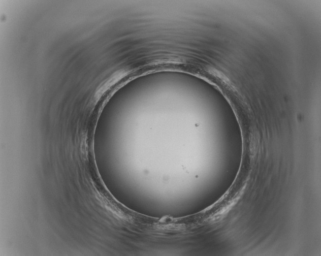 X0000064751113200602171726