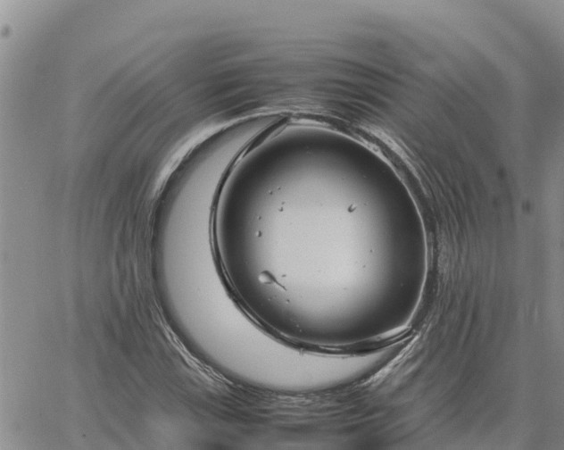 X0000064751115200602171726