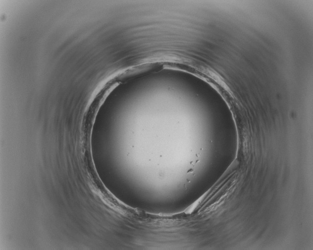 X0000064751116200602171726