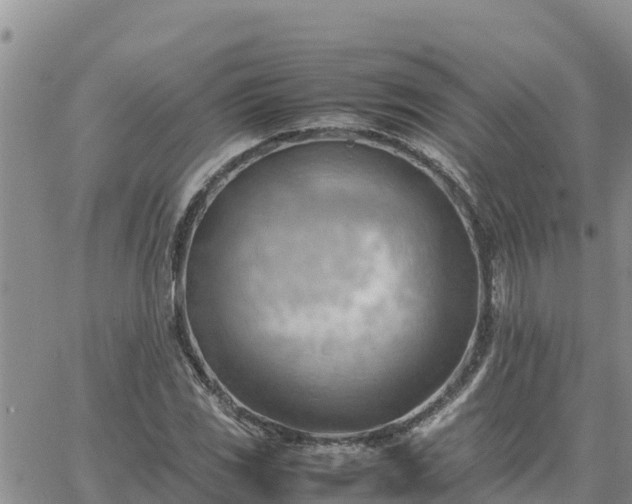 X0000064751117200602171726