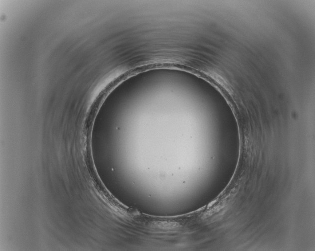 X0000064751119200602171726