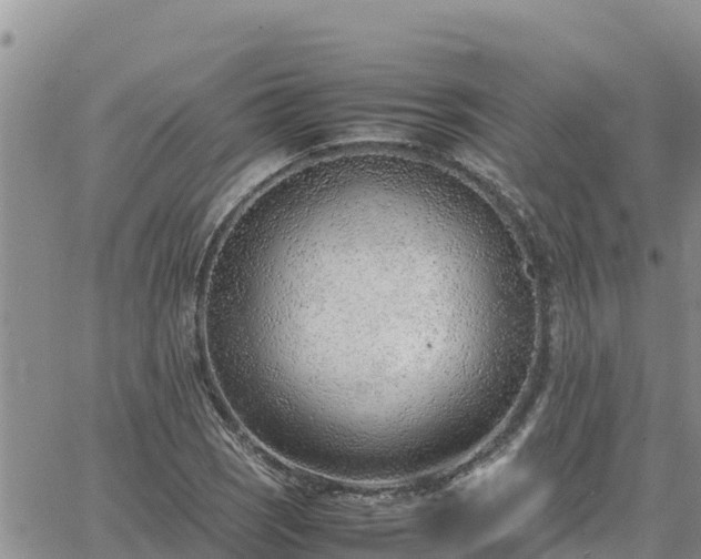 X0000064751121200602171726