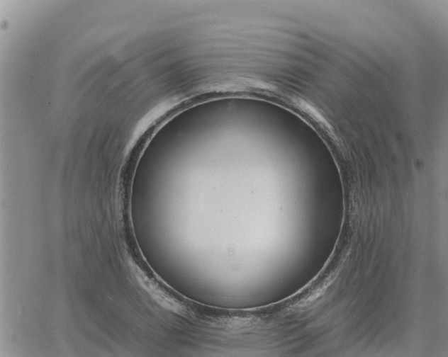 X0000064751122200602171726