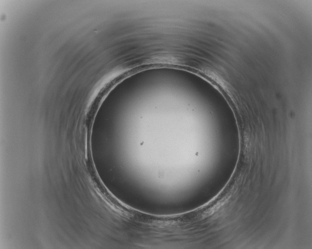 X0000064751123200602171726