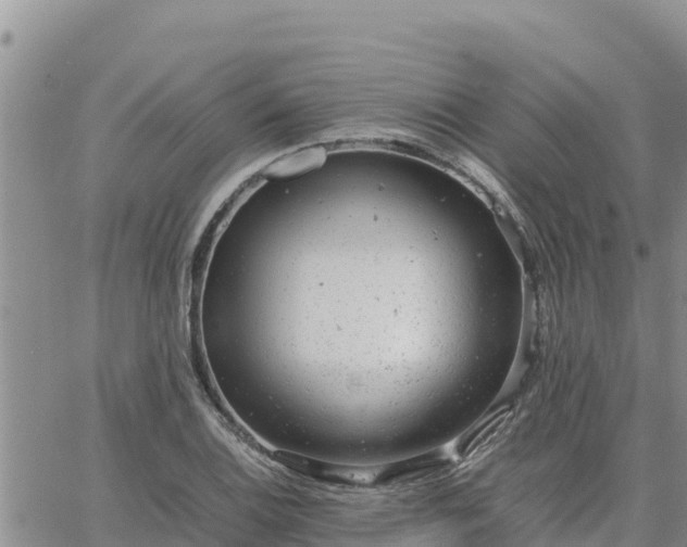 X0000064751124200602171726