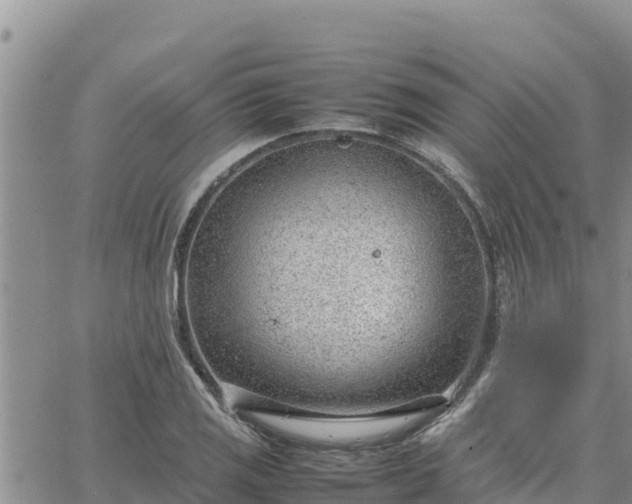 X0000064751125200602171726