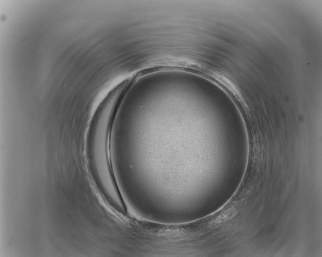 X0000064751128200602171726