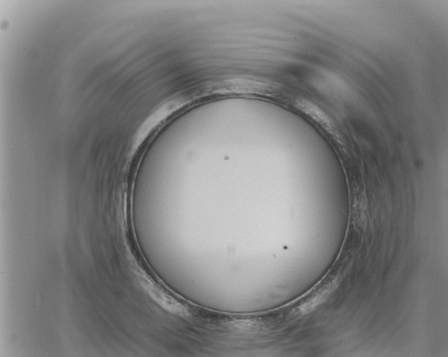 X0000064751130200602171726