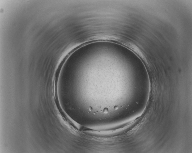 X0000064751132200602171726