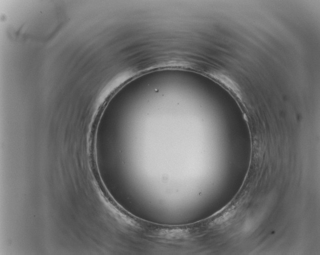 X0000064751135200602171726