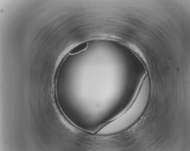 X0000064751136200602171726