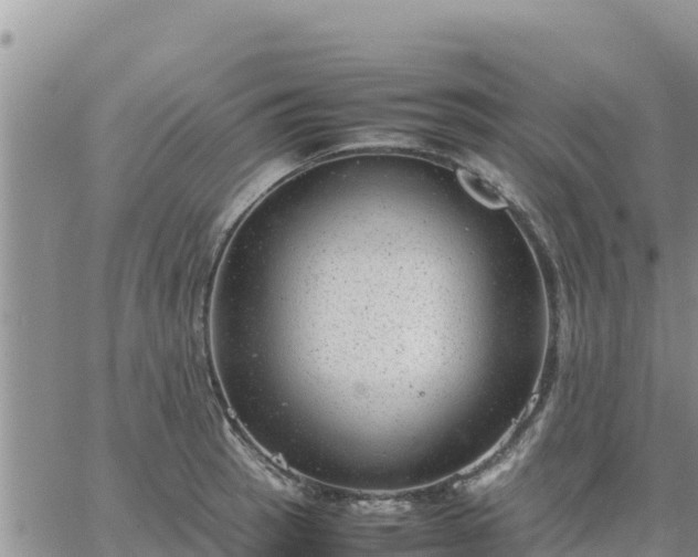 X0000064751137200602171726