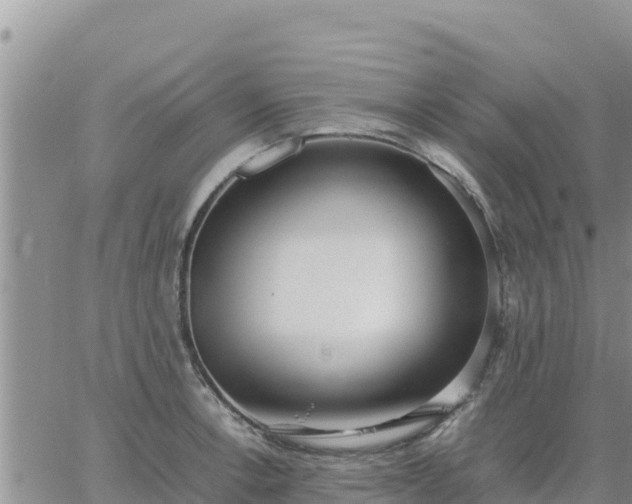 X0000064751138200602171726