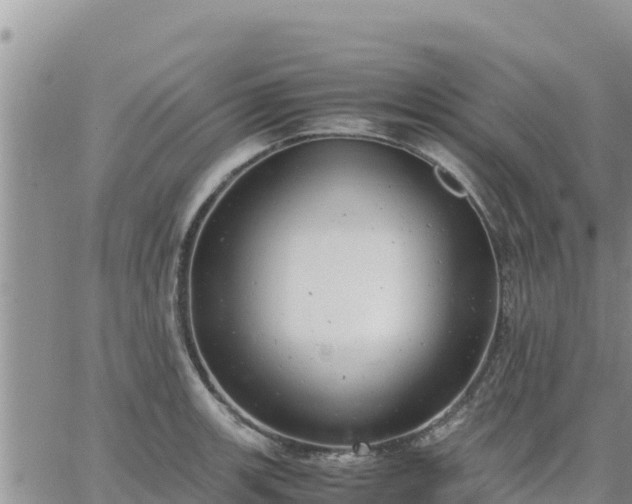 X0000064751139200602171726