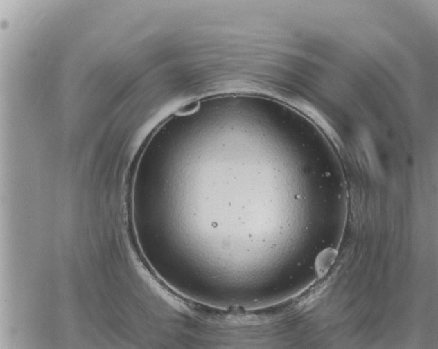 X0000064751142200602171726