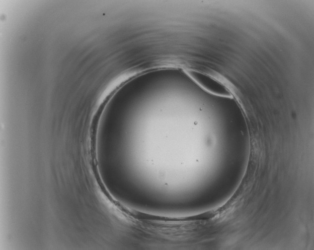 X0000064751147200602171726