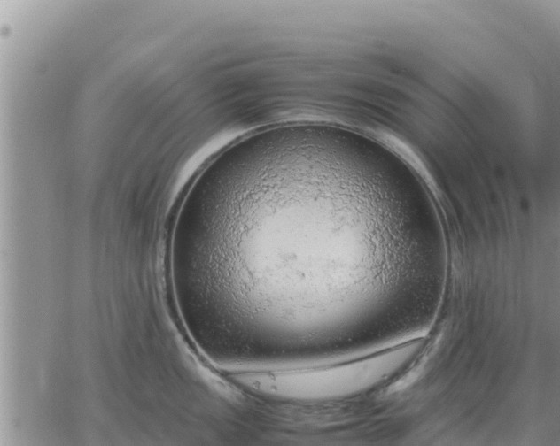 X0000064751149200602171726