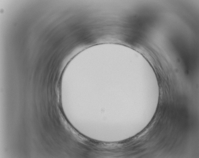 X0000064751150200602171726