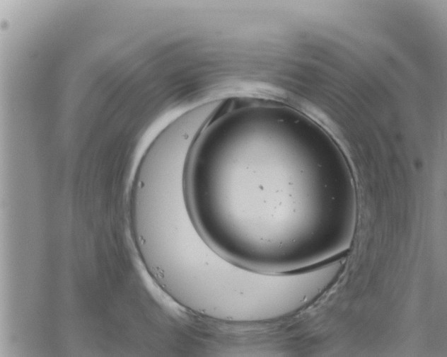 X0000064751152200602171726