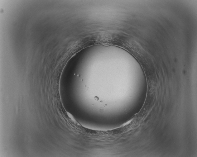 X0000064751153200602171726