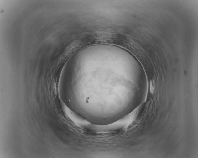 X0000064751155200602171726