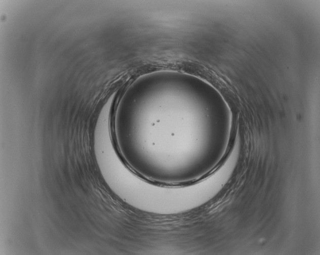 X0000064751156200602171726